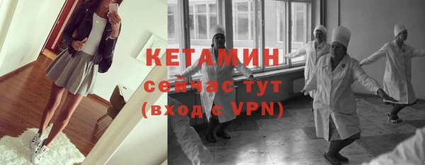 молекула духа Новозыбков
