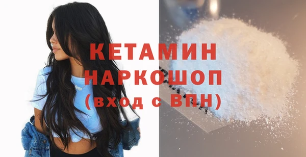 молекула духа Новозыбков