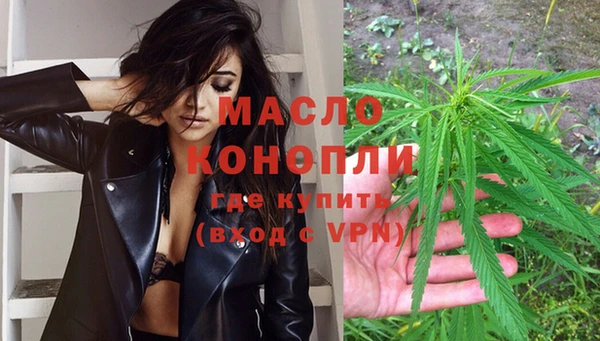 молекула духа Новозыбков