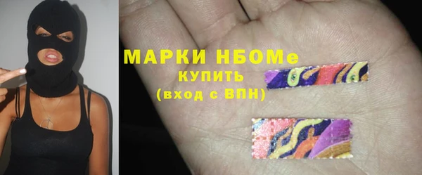 молекула духа Новозыбков