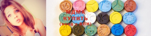 молекула духа Новозыбков