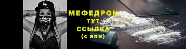 молекула духа Новозыбков