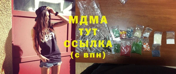 молекула духа Новозыбков
