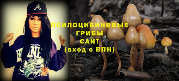 крисы Нея