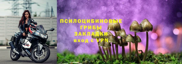 молекула духа Новозыбков