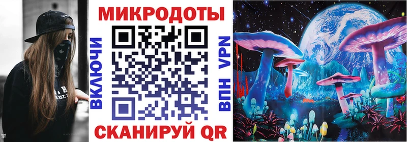 Псилоцибиновые грибы Psilocybe  купить  сайты  Саки 